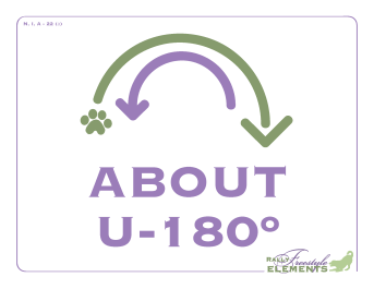 About U 180