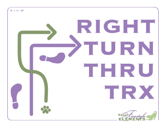 Right Turn/Thru Transition