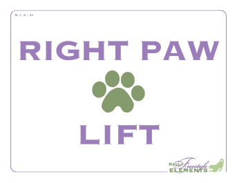 Right Paw Lift