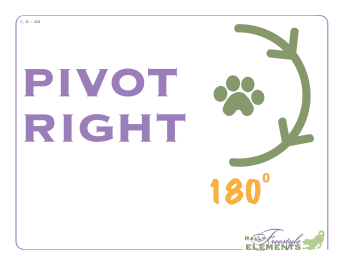 Pivot Right 180