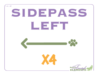 Side Pass Left x 4
