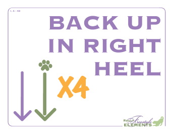 Back Up in Right Heel x 4