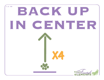 Back Up in Center x 4